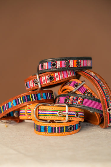 Guate Dog Collar